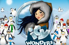 Icy wonders Slot