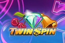 Twin Spin slot