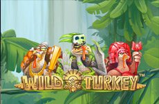 Wild Turkey slot