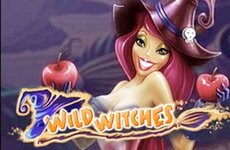 Wild Witches slot